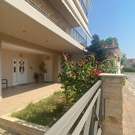 Cozy & Quiet City Apartment Tríkala Exterior foto